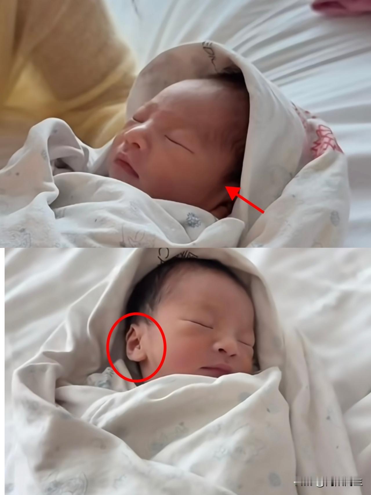 这投胎的技术，真是让人不服不行！第一眼看到那两个大耳垂子，厚实得太抢镜了，