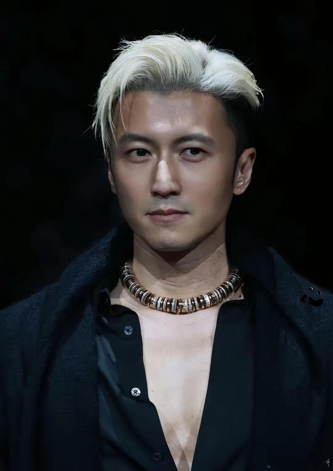 谢霆锋675万项链（微博之夜）宝诗龙谢霆锋男士项链谢霆锋进化演唱会沧州