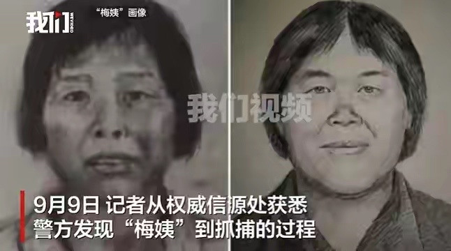 人贩子“梅姨”（谢家梅）抓捕完整经过案件背景梅姨是张维平拐卖儿童案的关键中间人。2003‑2006年