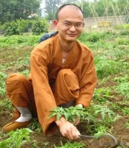 你发现没有？一个清华博士，放着高薪不要，非要去当和尚。2008年，他爸妈