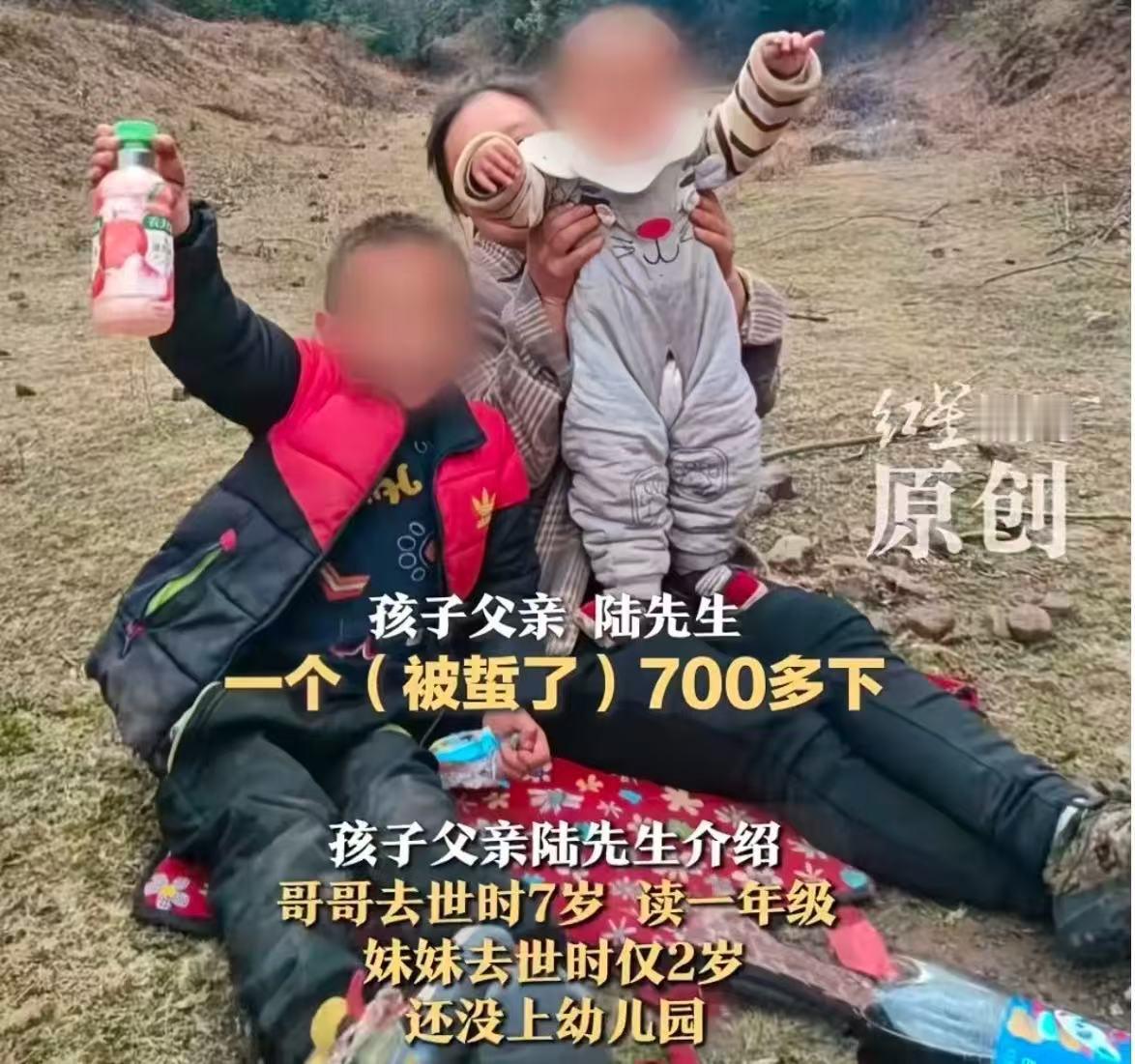 悲剧！云南省牟定县，一对兄妹被胡蜂蜇伤致死！父亲：“哥哥七岁，妹妹才两岁！要求赔