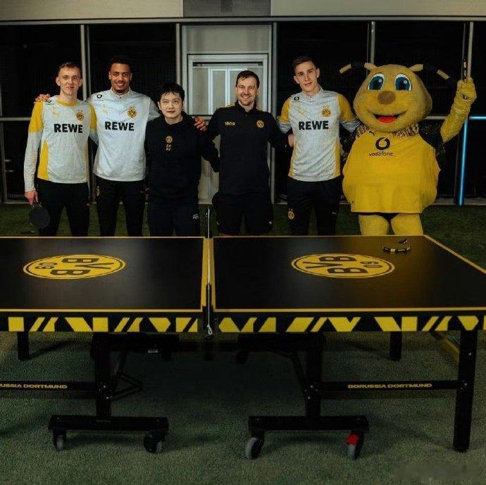 波尔说樊振东是年轻足球天才波尔社交媒体更新：昨天上午和多特蒙德帅气小伙子们一起