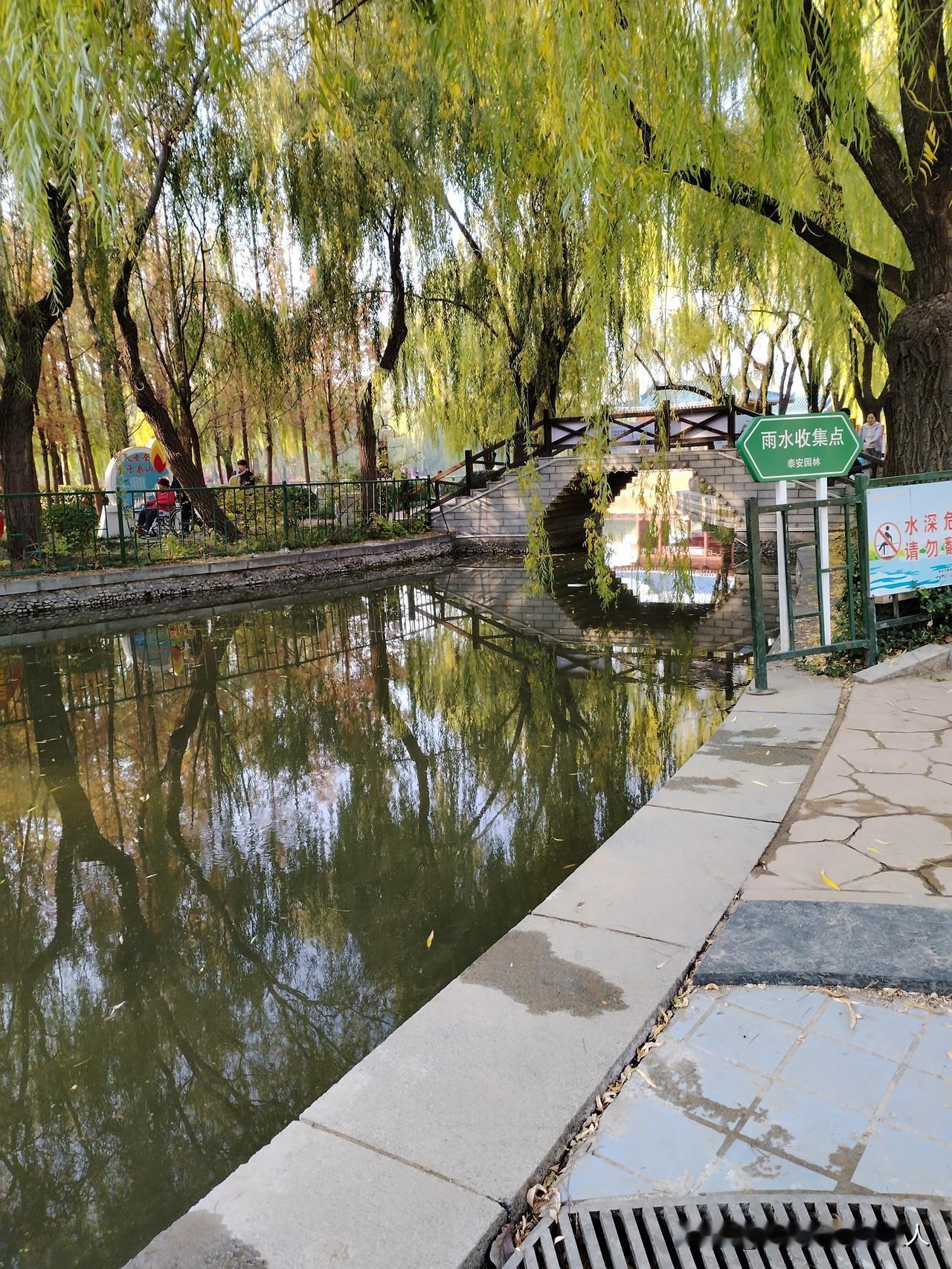 公园美丽景随拍