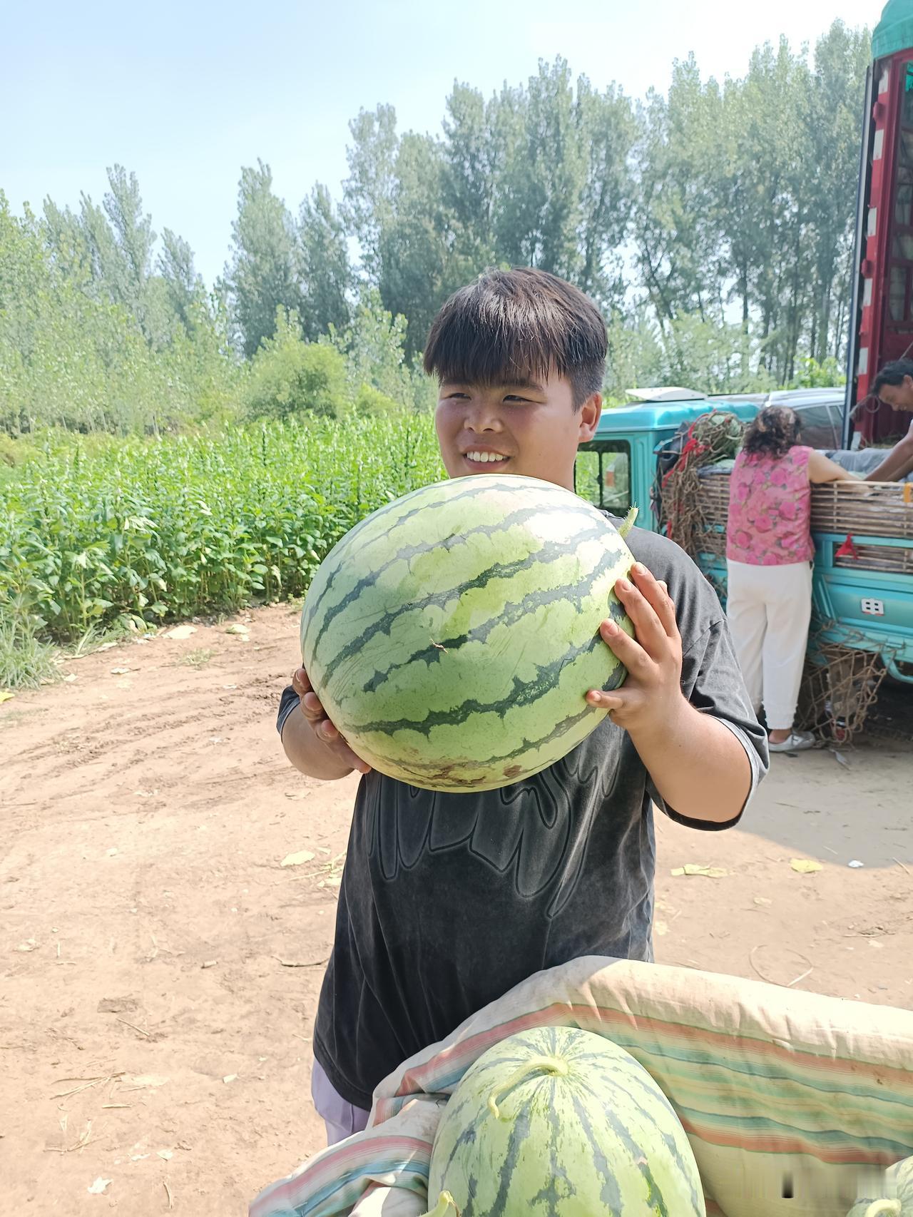 这个麒麟西瓜真是大，大的一个有三十斤左右，抱起来都费劲。今年西瓜可真是便宜，在