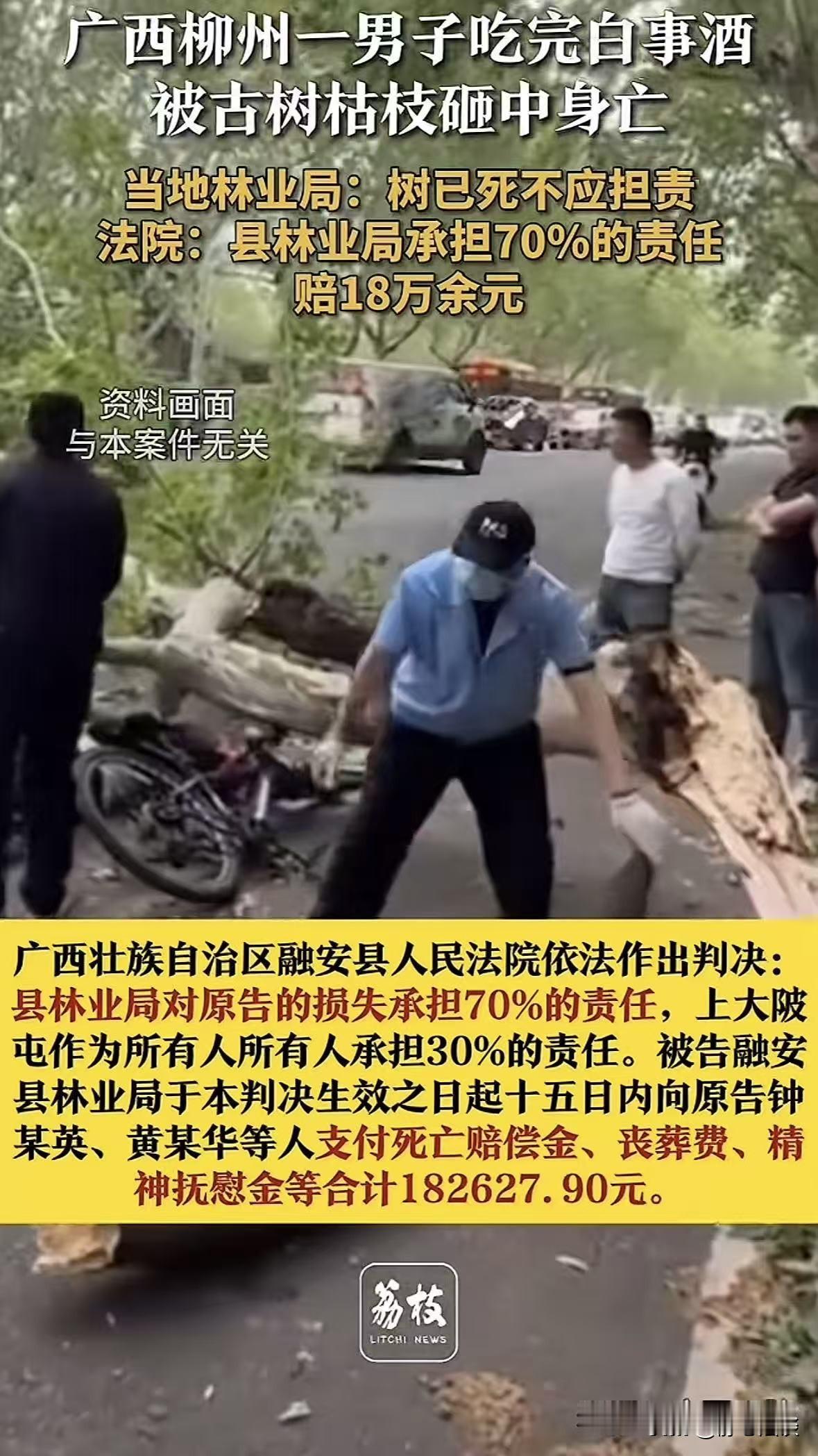 广西柳州，男子酒后回家路上，被一颗160年树龄的枫香古树上的枯枝，砸中头部，致颅