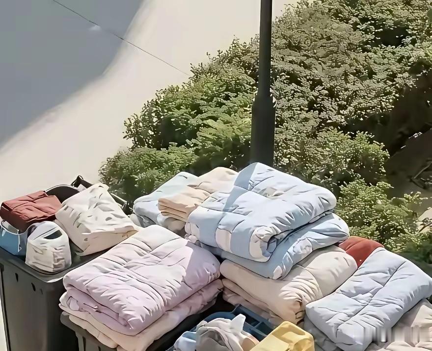 又是一年大学毕业季。