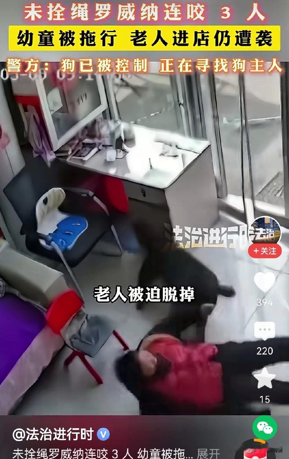 有人说，关于养狗这件事确实应该向香港抄作业，的确，香港对于养狗的规定还是很细很全