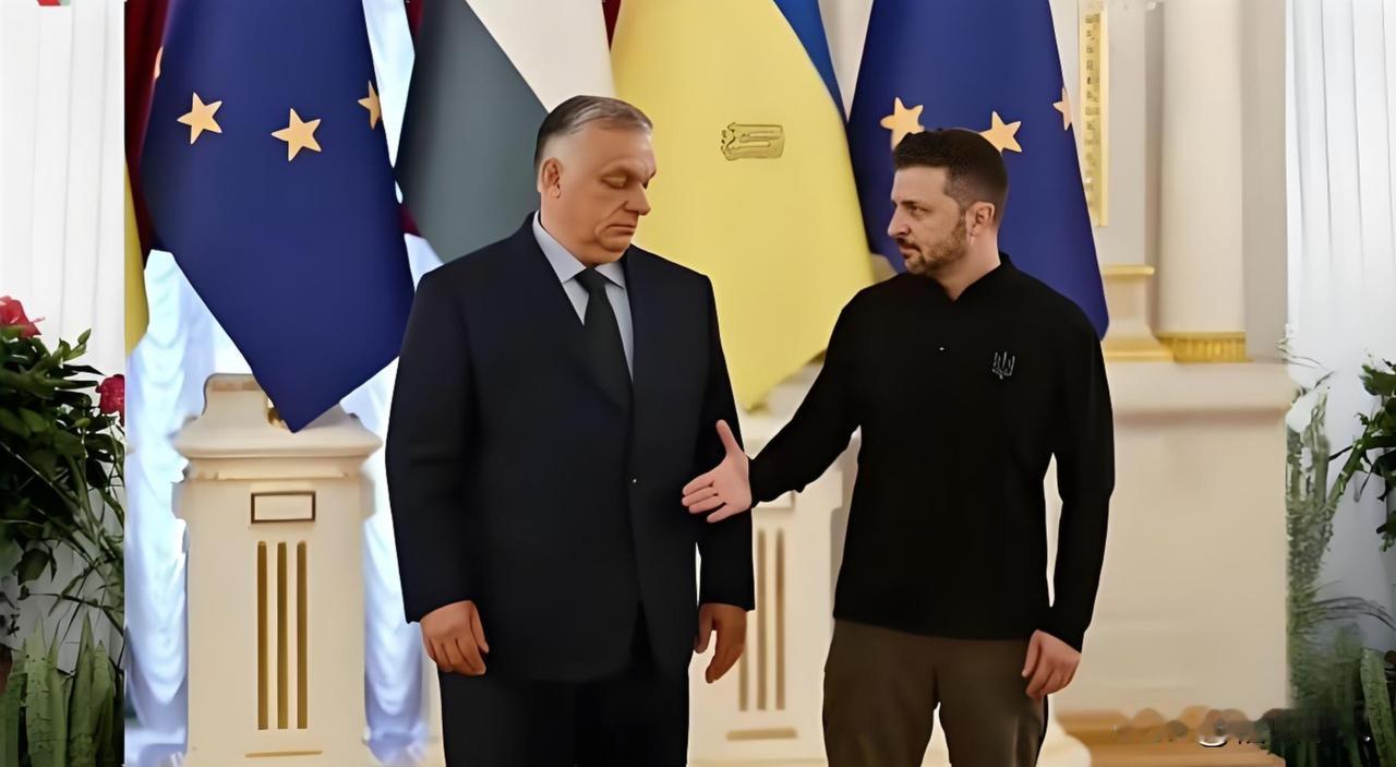 欧尔班的白宫之行收获满满，特总同意为匈牙利进口俄油、俄气提供为期1年的制裁豁免，