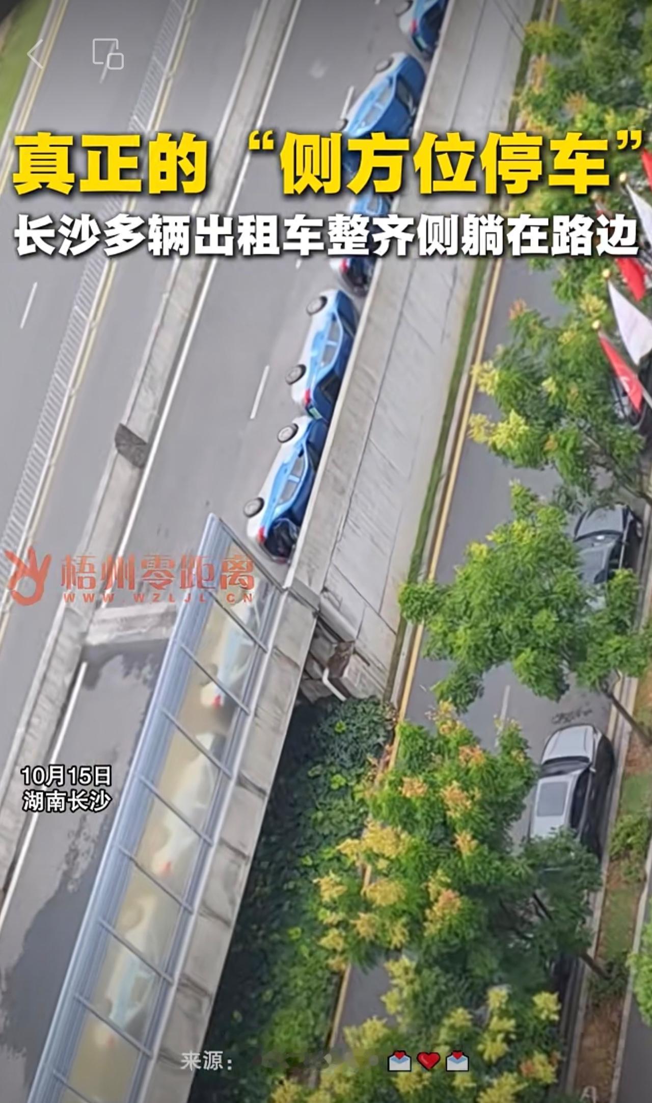 真正的“侧方位停车”。长沙多辆出租车整齐侧躺在路边。（编辑周云超来源@会飞