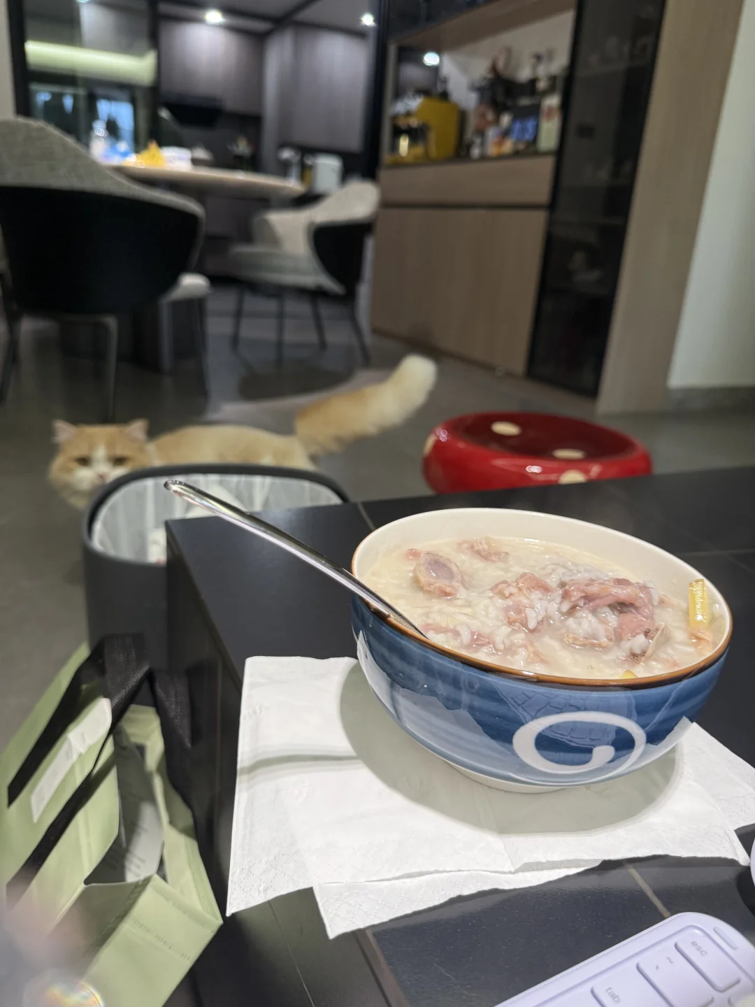 匆匆吃个早餐，小猫也匆匆去吃饭了