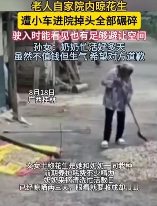 广西桂林，老人晒了两三天的花生被私家车直接碾碎，我觉得最让人生气的不是压坏多少，