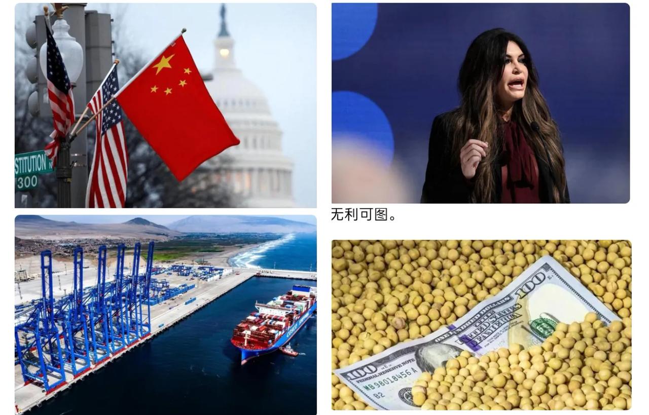 美国这操作太双标！一边逼中国交港口，一边盼着买大豆？别瞅美国跳得欢，一边让