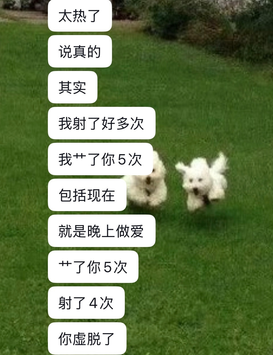 你就炫耀吧
