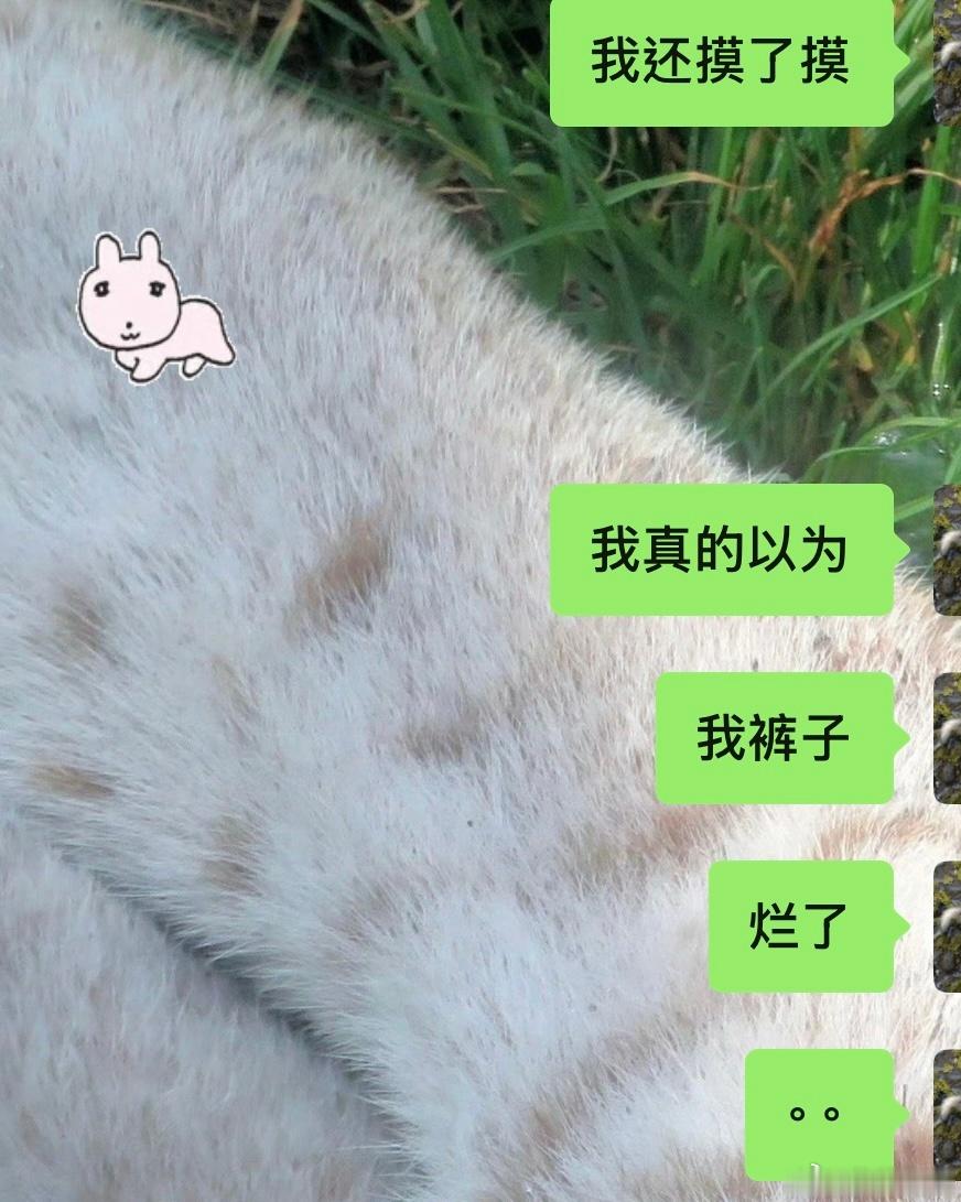 生活就这样嘲讽我