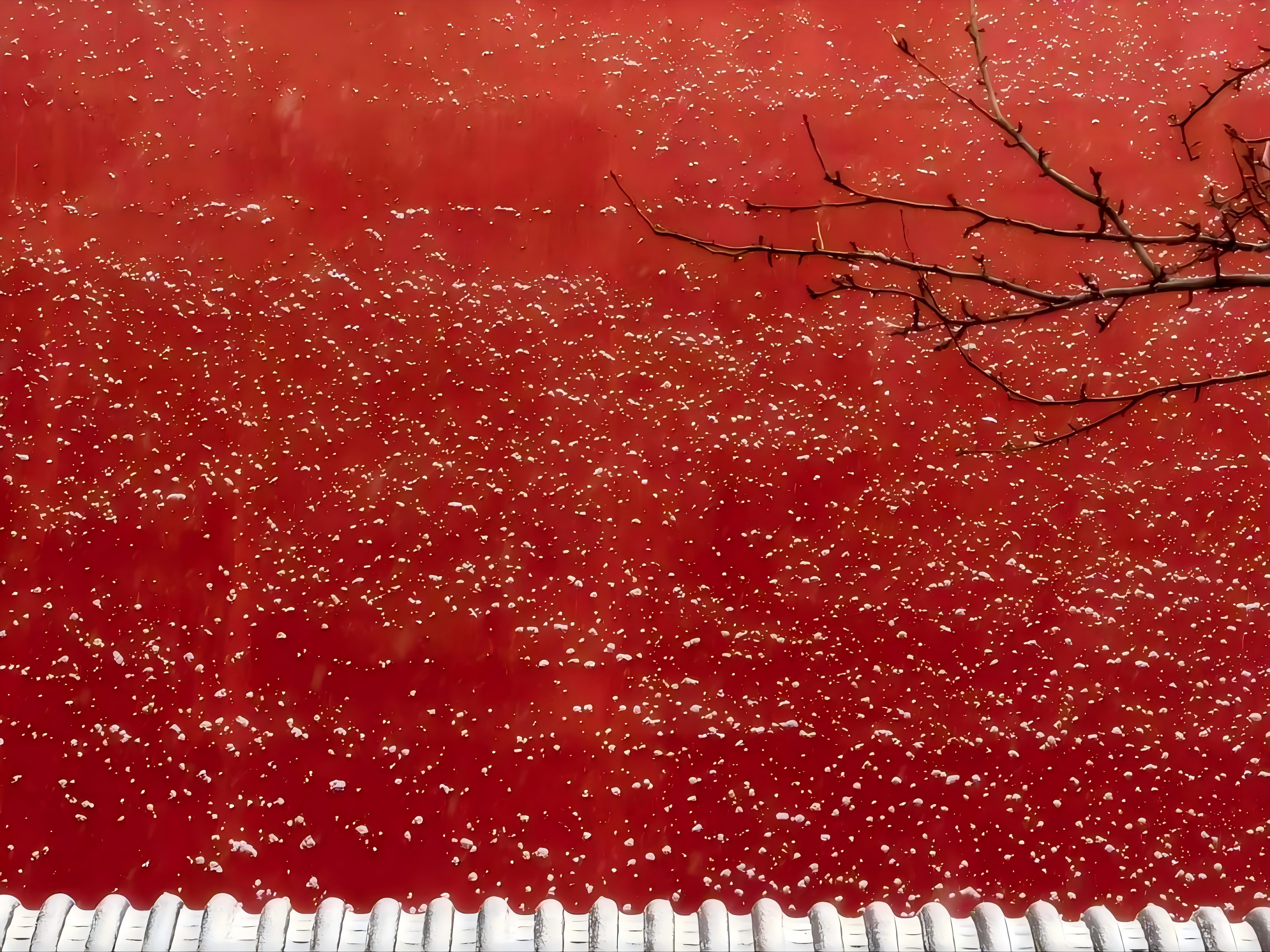 故宫北京下雪故宫，颐和园，都是不错的打卡点