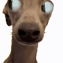 ？真的不是在炒冷饭吗？