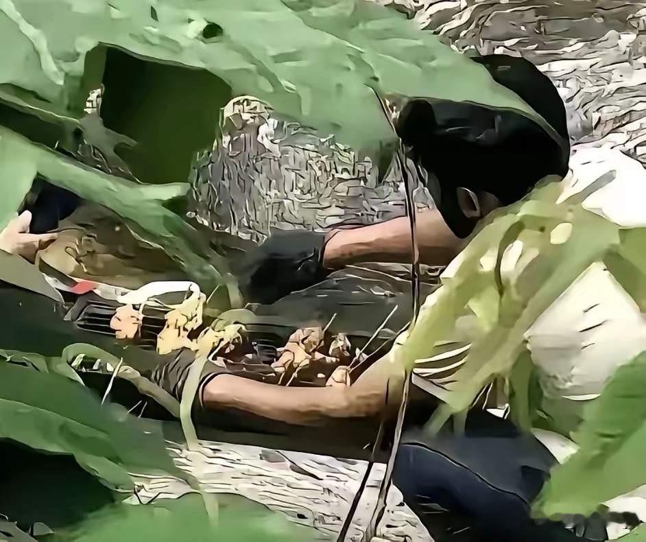 在秦岭腹地公然架起炭火烤肉的外籍人，哪里是“不懂规矩”，就是明知故犯！游客徒
