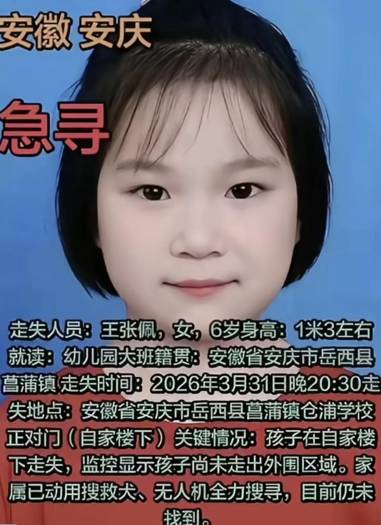 600多号人，连轴转了5天5夜。天上无人机，地上搜救犬，阵仗拉满。结果呢？就翻出