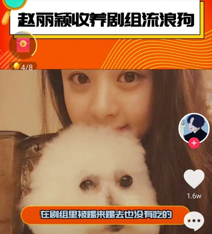 这是赵丽颖在剧组拍戏时收养的道具流浪狗，也没人待见它，被人踢来踢去，拍完戏就打算