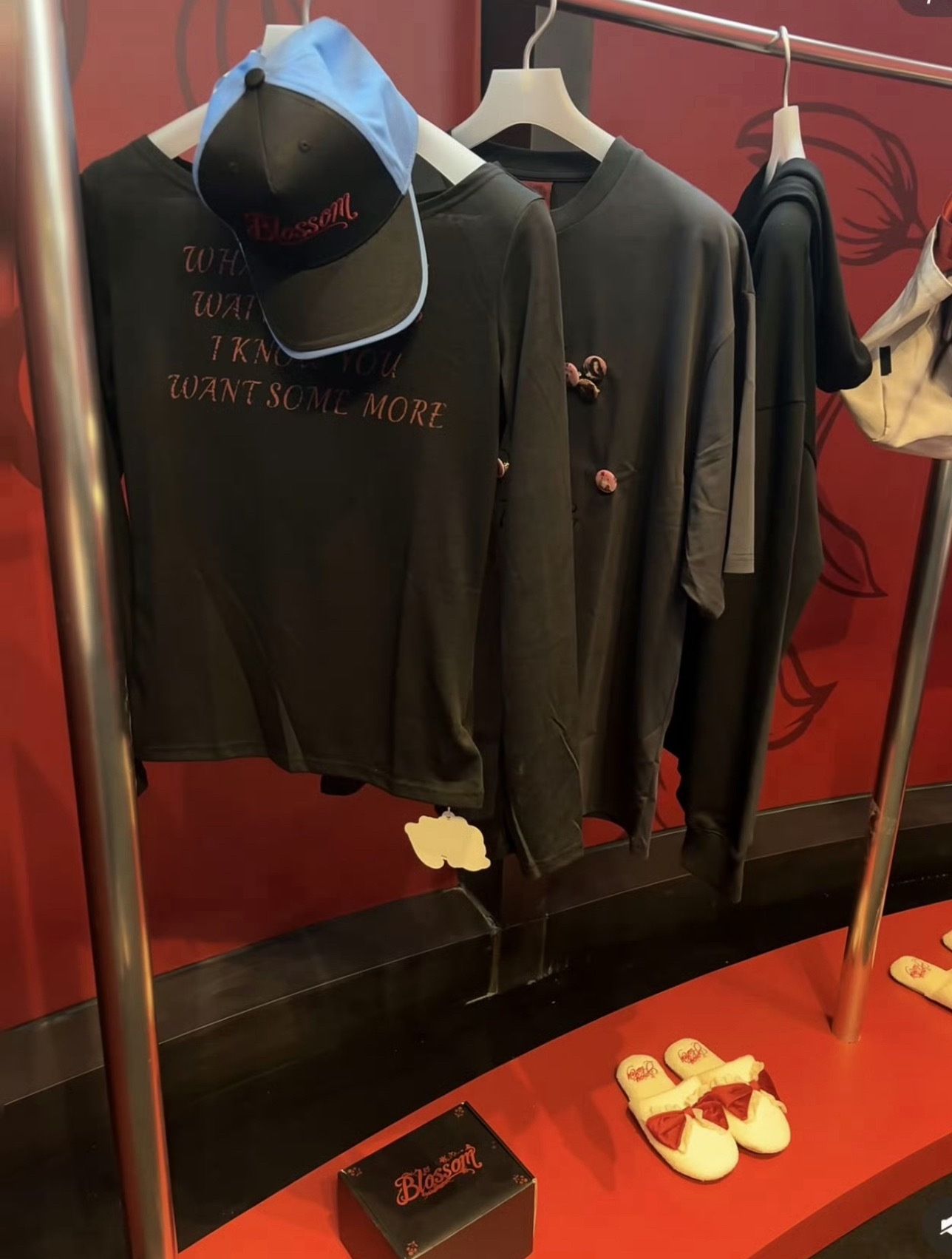 窝鱼的衣帽间blackpink…​​​