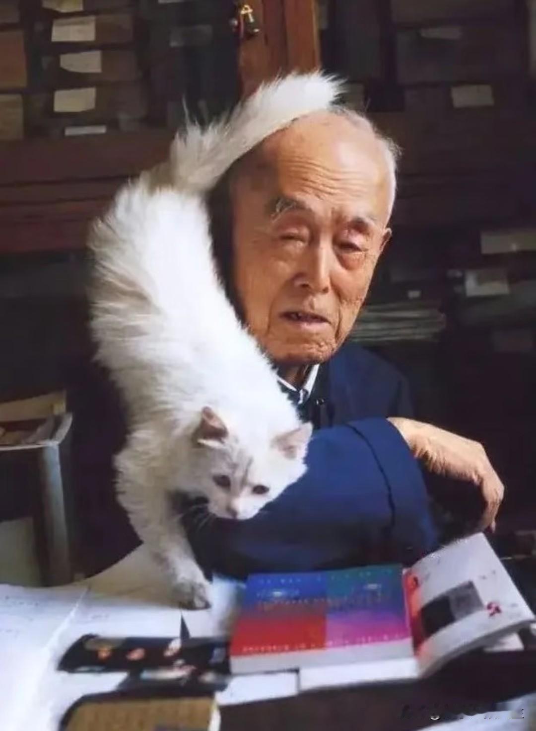 季羡林先生曾写道：“在人生的道路上，每一个人都是孤独的旅客。与其舒舒服服，懵懵懂