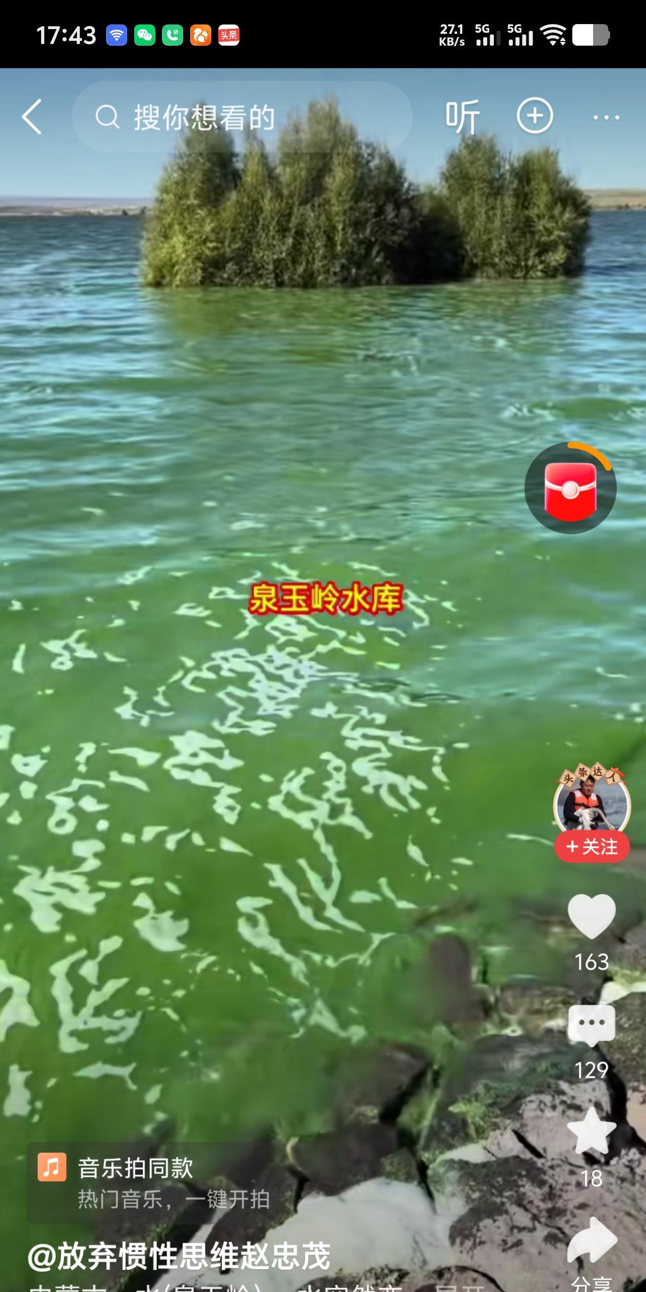 水库的水绿成这样，怎么看着有点恐怖呢！