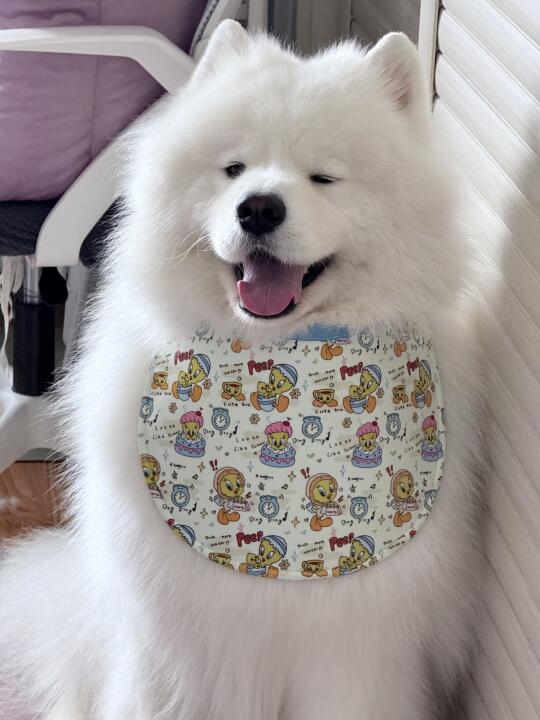 被可爱到了没！！！
