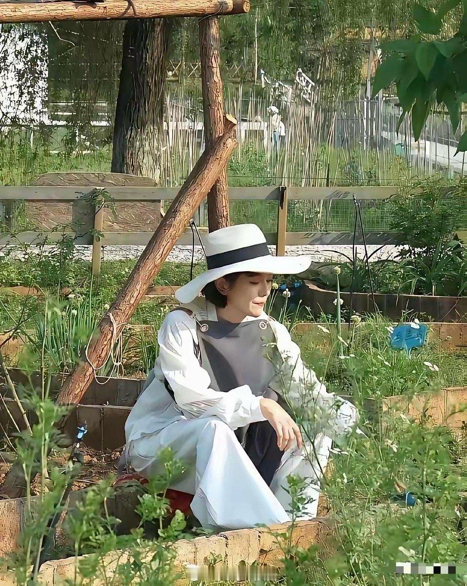 同样是种菜为什么杨乐乐一片吐槽声而苗苗却收获一片赞美呢？可能还是在于有没有真的投