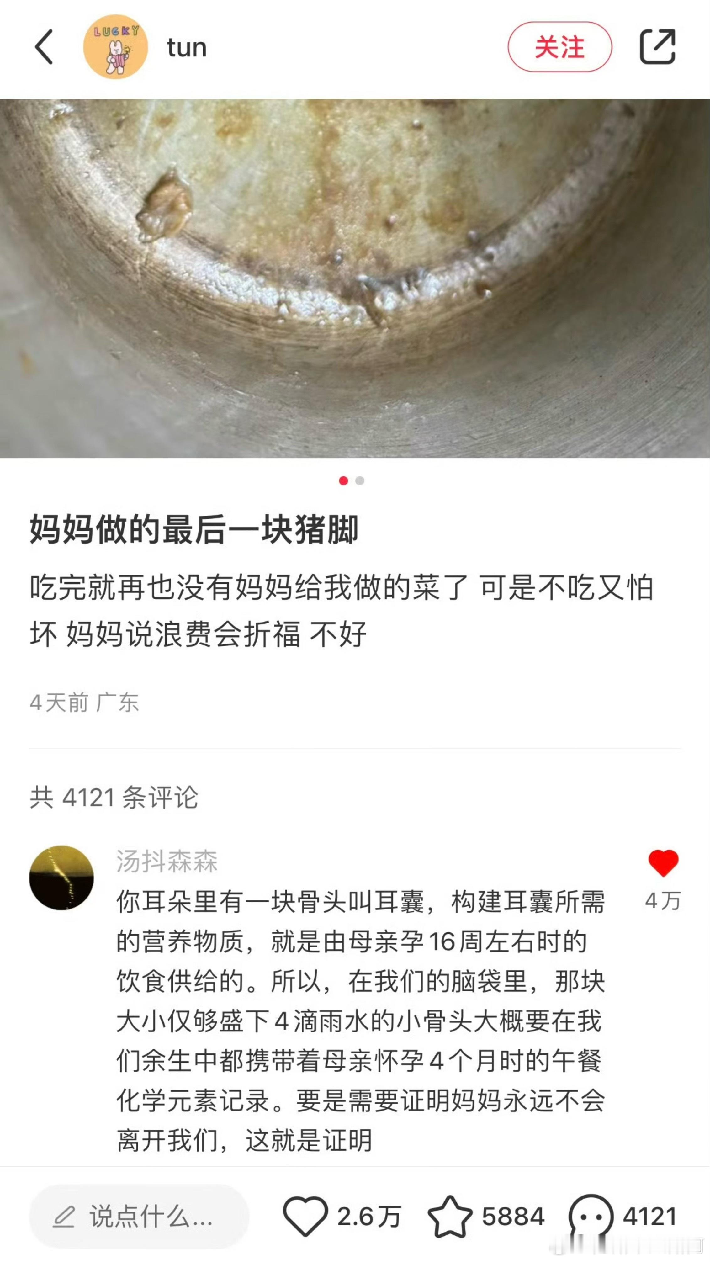 “妈妈永远不会离开我们，这就是证明”