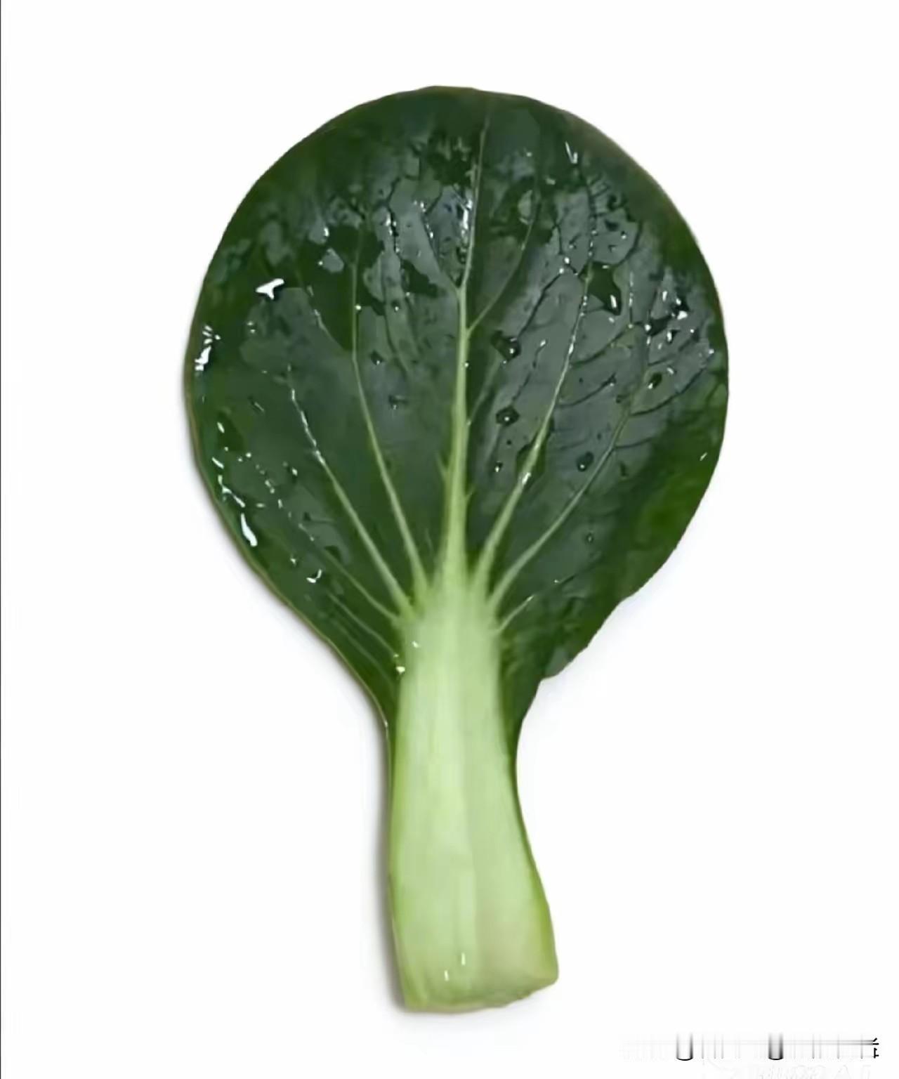 青菜叶火了，白菜也火了，唯独那根香蕉还是冷冷清清。你看那青菜和白菜，生来便是