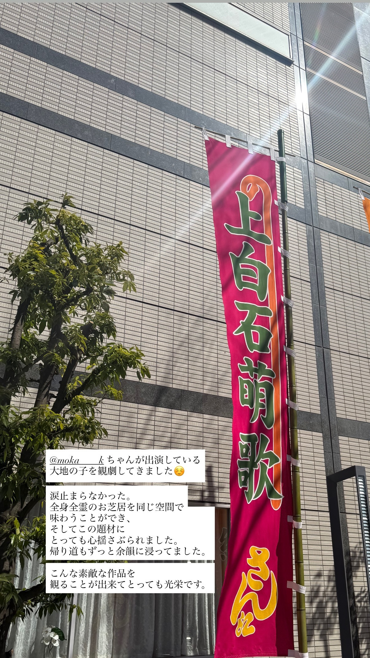 佐々木美玲🍞panchangram