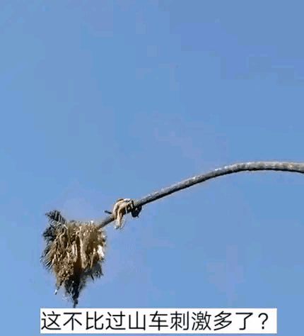 果然外国人少是有原因的，这该死的的挑战欲