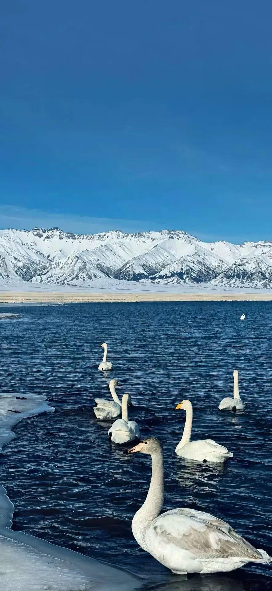 揽一汪碧水，望千里雪山～​​​