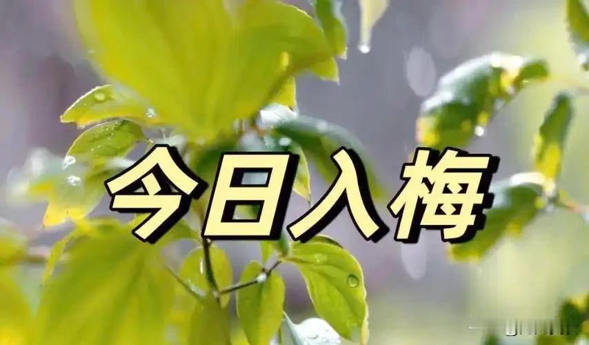 不是迷信！今日入梅，记得：1不洗、2不开、3不捂，4不吃，别大意眼下江南正