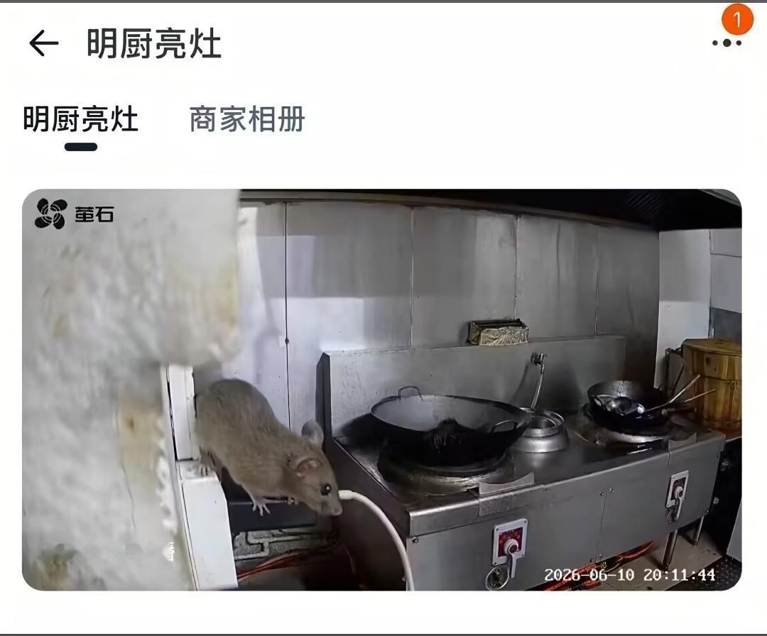 好一个明厨亮灶！正好录制下来了老鼠在镜头中！此事在料理鼠王中早有记载，毕竟老