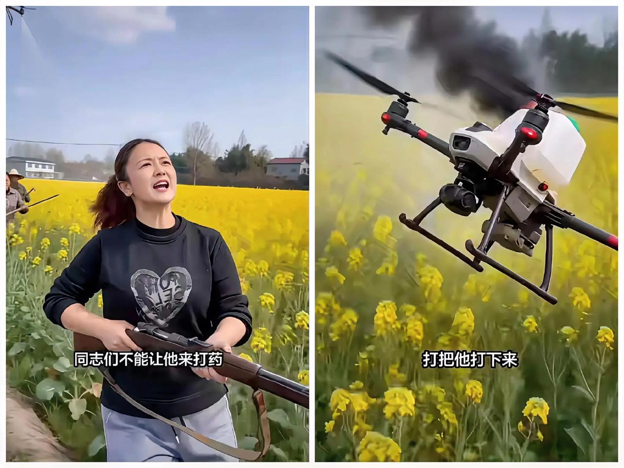 油菜花田里打无人机为哪般？油菜花花期打药本是常规操作，无人机的高效打药有助于农