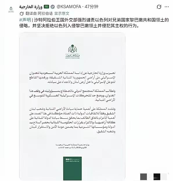 沙特终于要下场了？中东可能真要乱了沙特外交部发了一份官方声明，在声明中沙特强烈