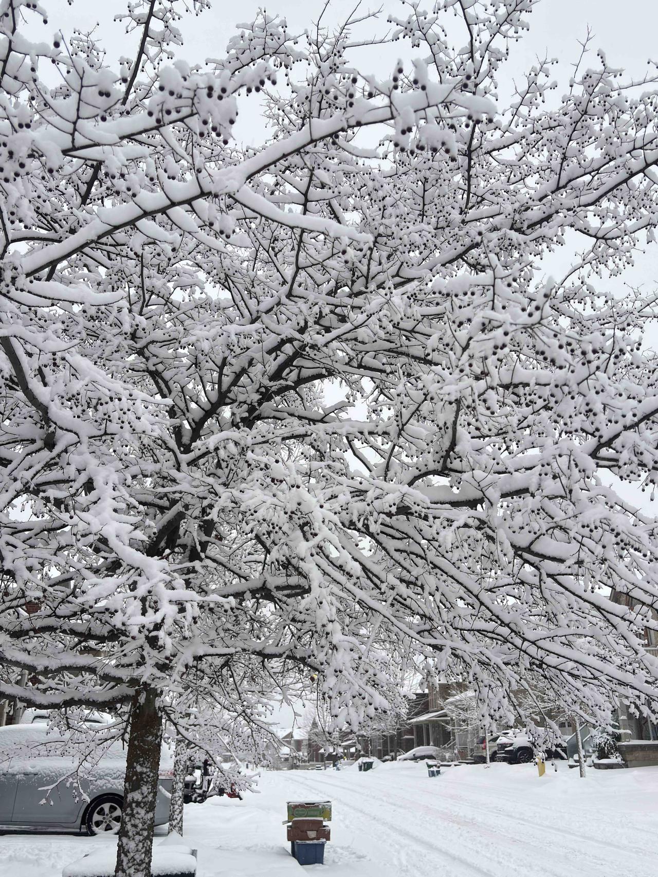 吴晓波的三个观点有数据支撑：未来①穷富差距加大，全球最富1%人群掌握45%财富