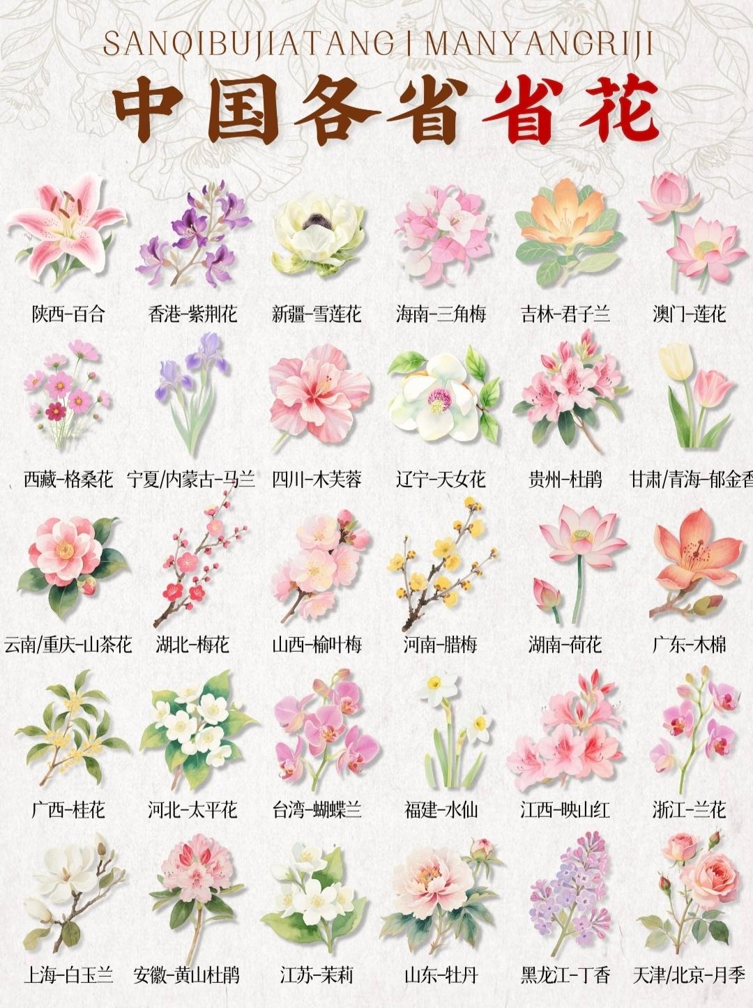 看了才知道，中国各省的省花...