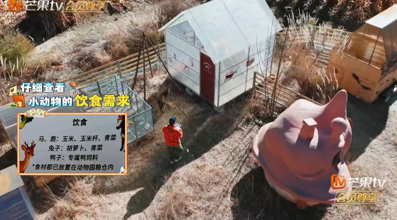 以为来的是陆虎，结果是王栎鑫，网友始料未及。节目已经亲眼目睹陆虎的各种