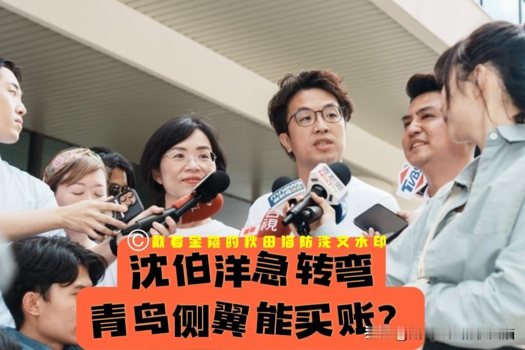 沈伯洋尴尬否定自己、变相认可蒋万安，他选择急转弯之后，青鸟侧翼以及绿营基本盘还会