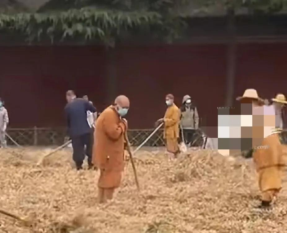 我有预感，印乐大师去少林寺之后该被孤立了，因为他的管理理念少林寺的僧人估计难以接