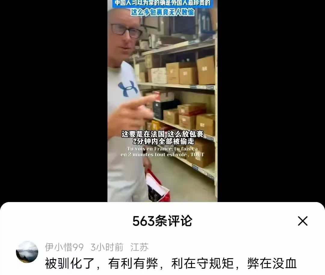 当你说“在中国快递放在架子上即使无人看管也不会丢失”时，殖人会说：“中国