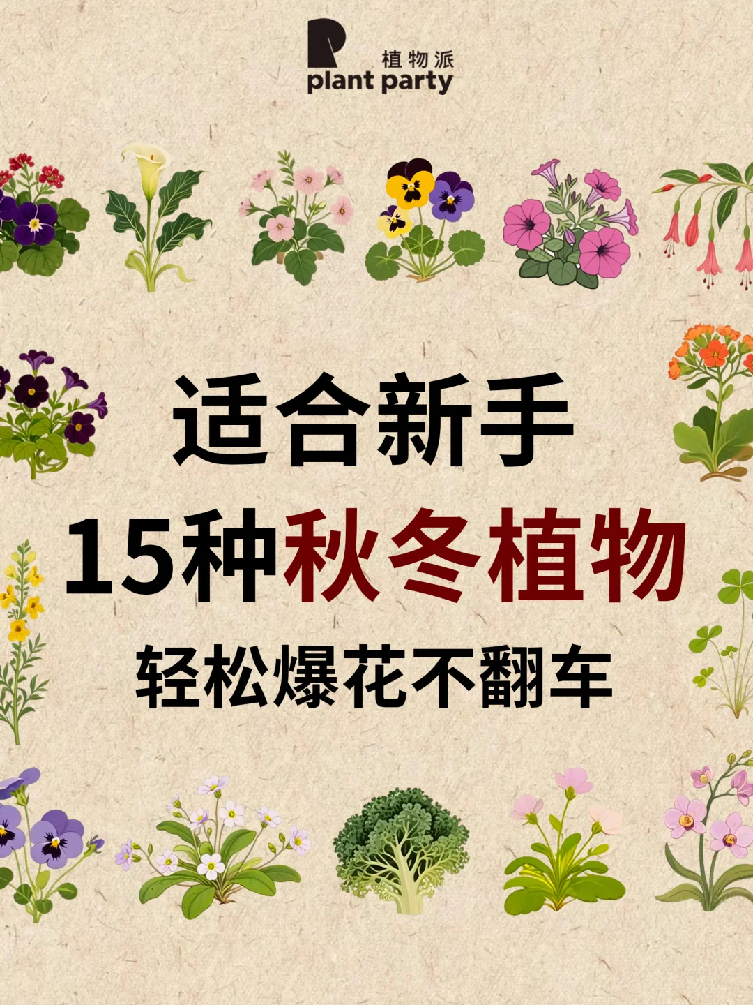 15种适🈴新手的秋冬植物，轻松爆花💐