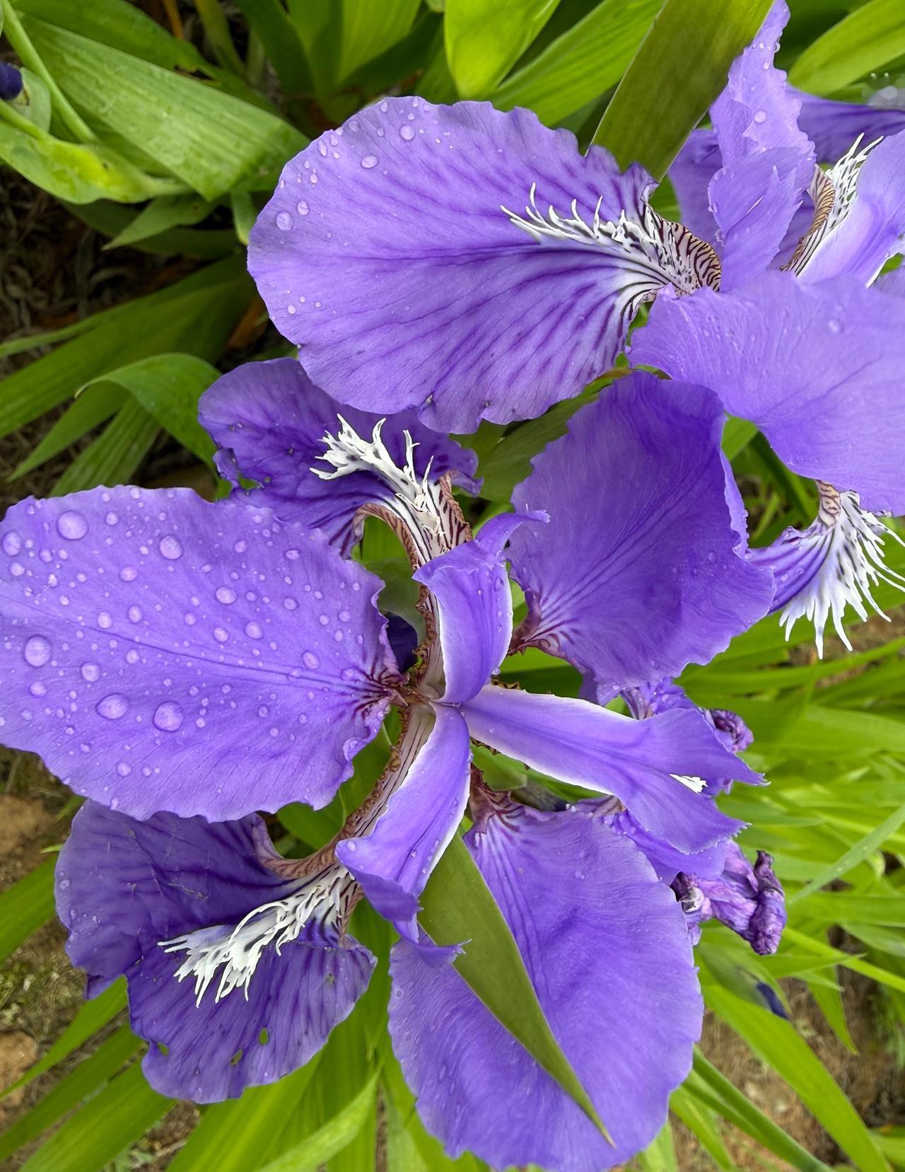 我发现一件有意思的事。大多数长寿老人，都有一个共同点，他们情绪很稳定，整天笑