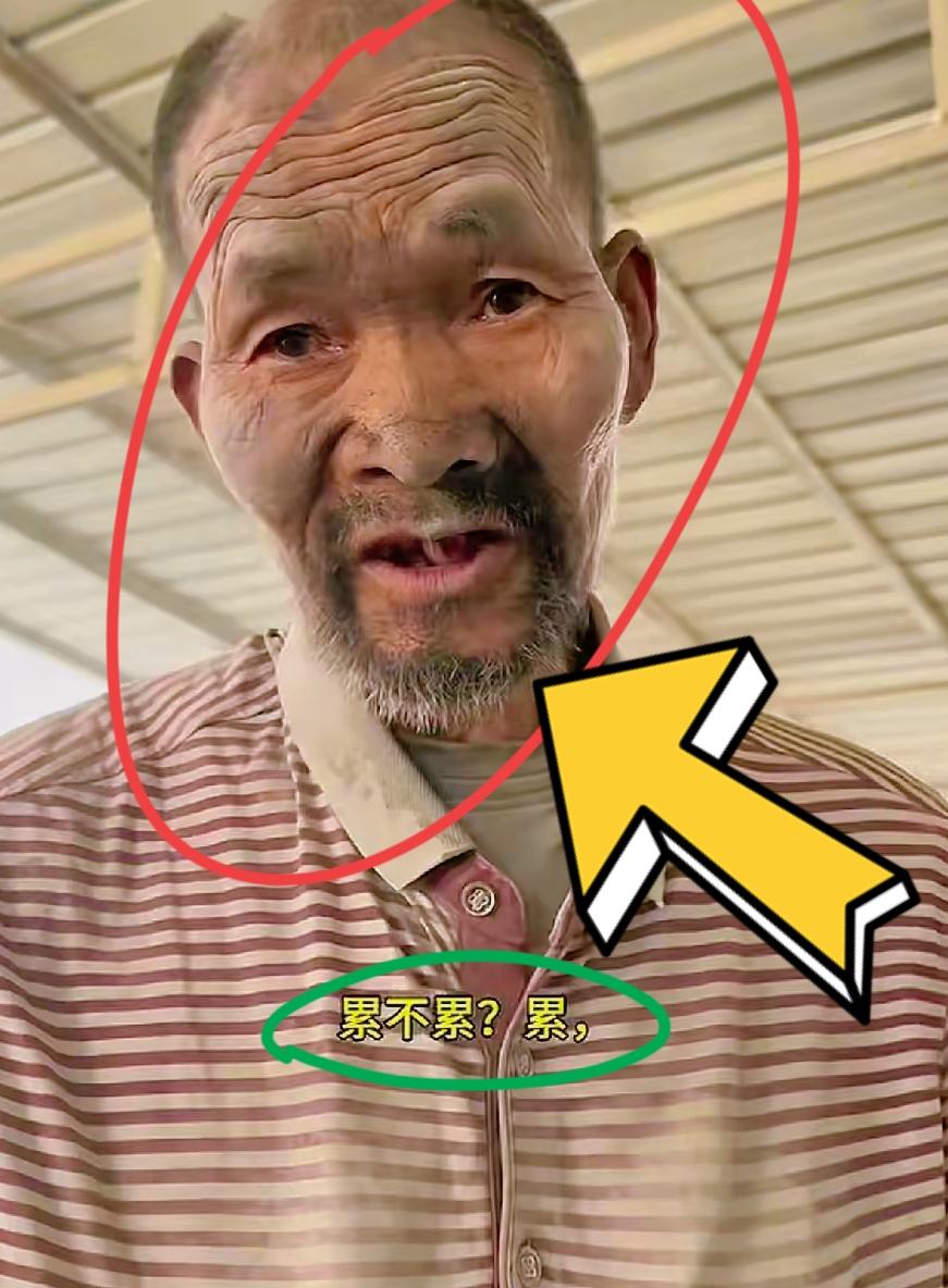 河北保定清苑区臧村镇刘庄村，京兰水泥创始人赵伟光名下的厂区，藏着最让人心寒的黑暗