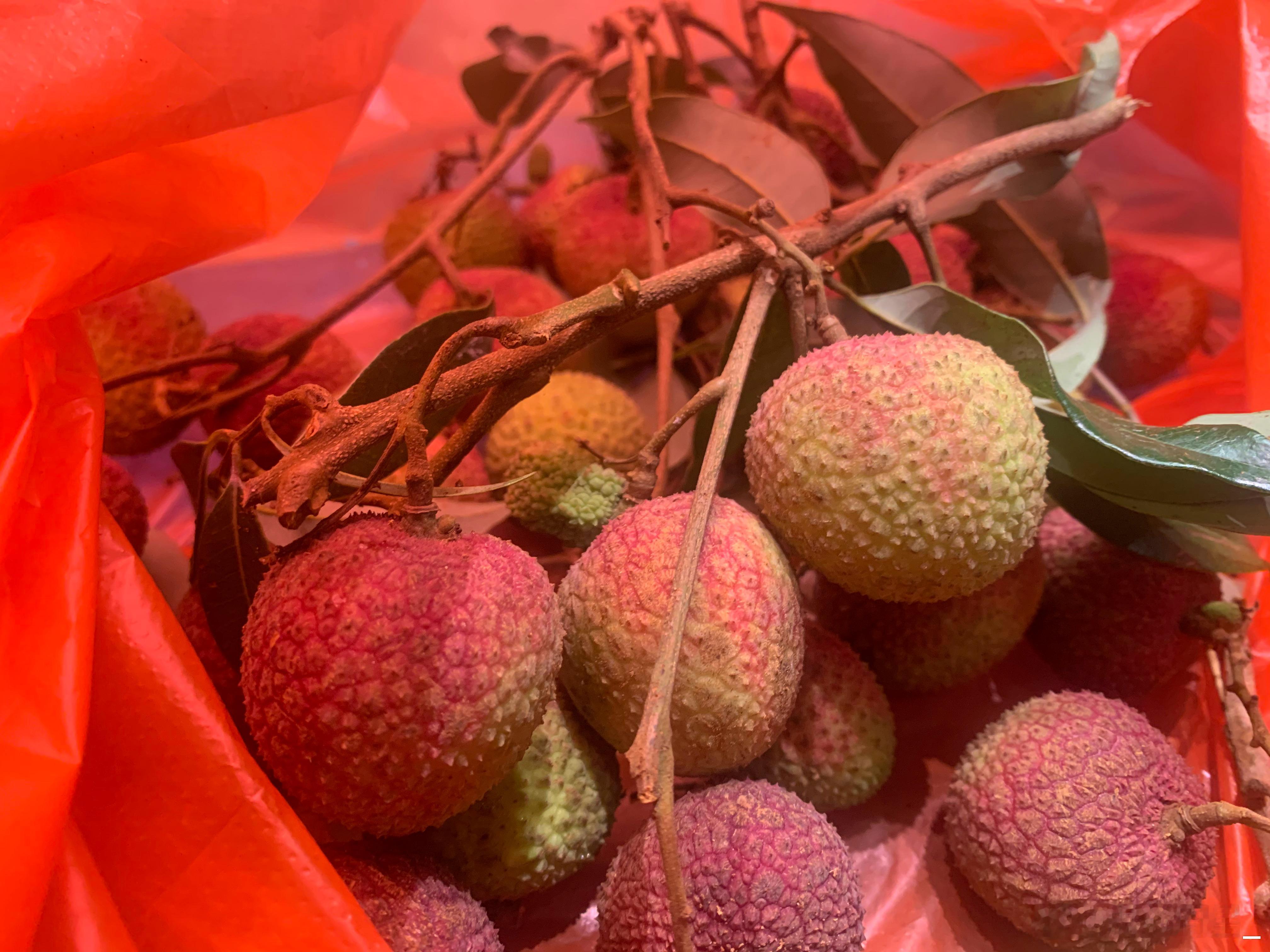 今年只吃得起妃子笑荔枝了，糯米糍今年卖110块一斤，吃不起吃不起…