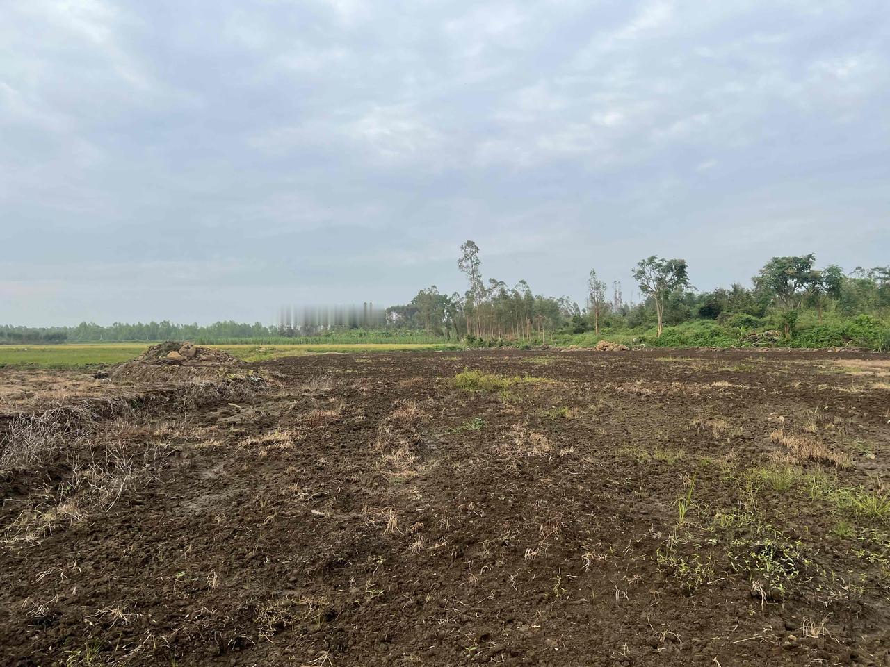 现在种地能挣钱吗?去年,上半年,朋友种10几亩丝瓜和苦瓜,下半年种辣椒,万万没