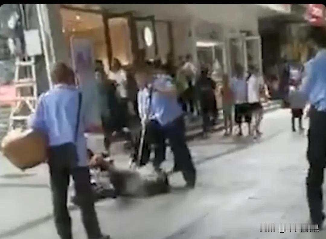 重庆有一只大型犬凶狠地咬住路人且不松口，民警使用防爆钢叉，制服了这只恶犬，从而解