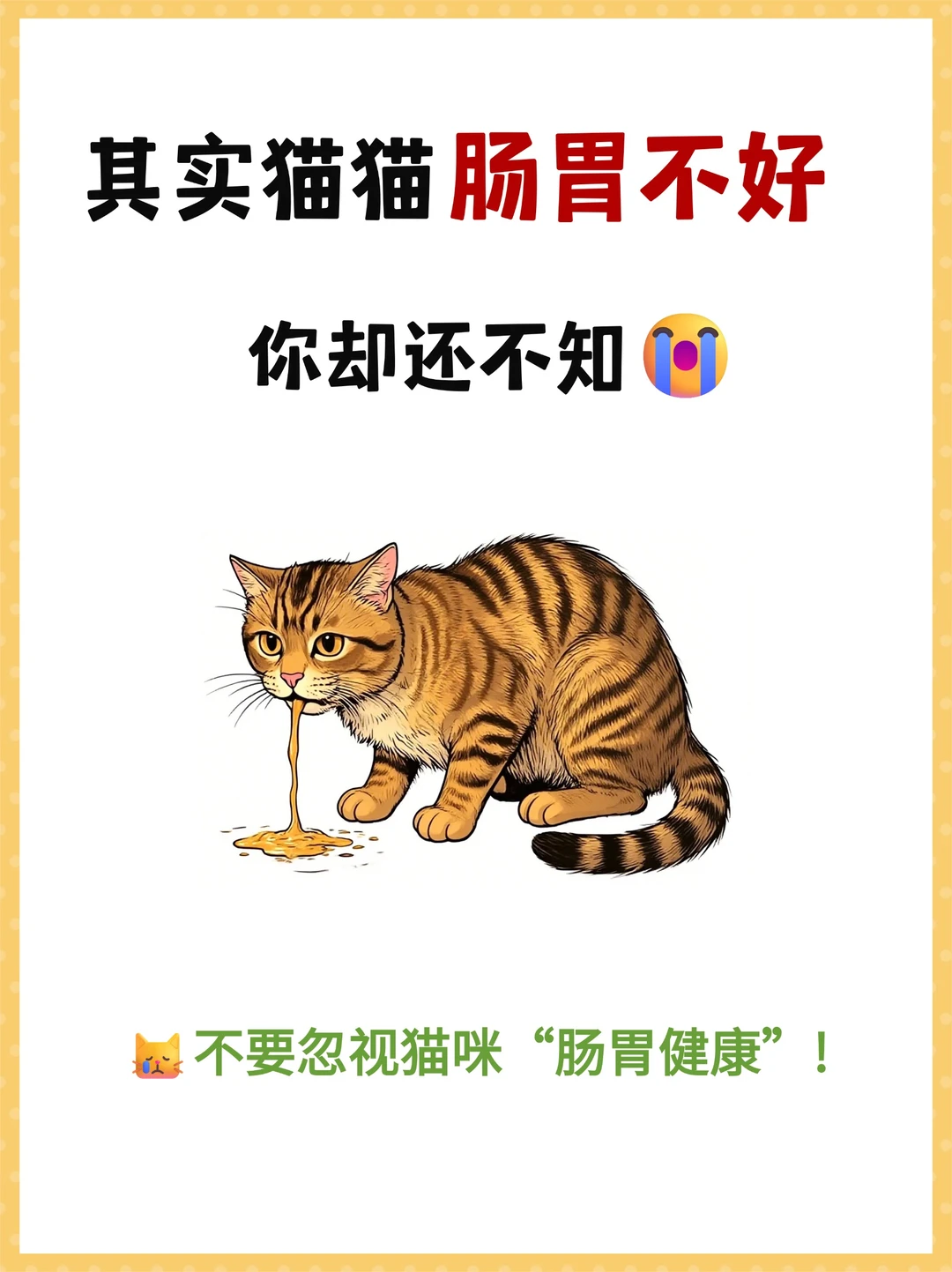 换季猫猫肠胃不好！一篇告别猫软便呕吐🙅‍♀️